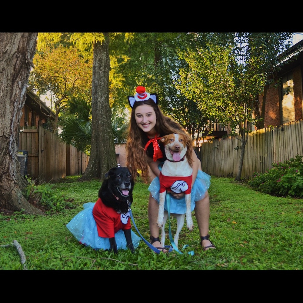 Cat in the Hat Family Costume
